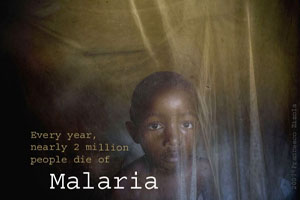 malaria too magnetic door curtain